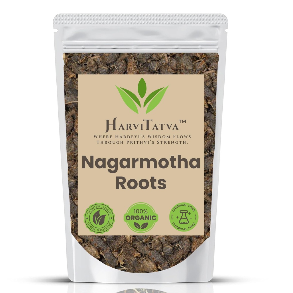 Nagarmotha Root Whole | Cyperus Rotundus, Motha, Mustha, Nut Grass, Tunga Musta, Bhadra Musta – 100% Natural Ayurvedic Herb- 100gm