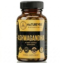 Ashwagandha Capsules 180 Veg Capsules by Naturevibe Botanicals Withania Somnifera Root Extract Supplement | Plant-Based Source of Natural Antioxidants | Daily Herbal Wellness Support