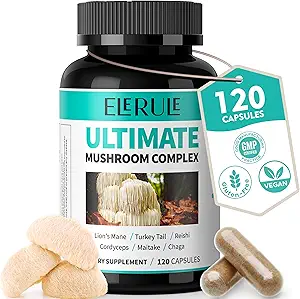 6 in 1 Pilz-Ergänzung - Fokus, Gedächtnis, Nootropics Gehirn & Immununterstützung Pilz-Komplex mit Lions Mane, Reishi, Cordyceps, Chaga, Türkei Tail, Maitake (120 Kapseln)