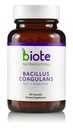 Biote Nutraceuticals - Bacillus COAGULANS - Gut + Digestion (60 gélules)