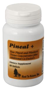 Pinien +