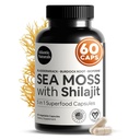 Atlantic Naturals Sea Moss e Shilajit Capsule – 5-in-1 Seamoss Shilajit Combo con Bladderwrack, Burdock Root & Black Pepper – Sea Moss Integratori per Assorbimento & Vitalità – 2705 mg – 60 Count