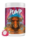 Pompe Panda Supps de Bio Labs Underground, pré-entraînement, formule sans lump w/10G L-Citrulline Malate, Alpha GPC, Lions Mane, CognatiQTM,VasoDrive-AP® 40 Scoops (Rainbow Dragonfruit)