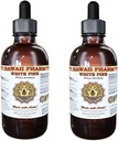 Extrait liquide de pin blanc, Pine blanche (Pinus Strobus) Teinture de poudre d'écorce, supplément à base de plantes, Hawaii Pharm, Fabriqué aux États-Unis, 2x4 fl.oz
