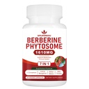 Phytosome 7-in-1 Berberina con Ceylon Cinnamon, Complesso Berberine Supporta Metabolico, Funzione Liver e Sistema Immune, Non OGM, Senza Glutine - 60 capsule