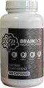 All-in-One Nootropic Ergänzung für Männer & Frauen | Koffeinfreier Fokus mit L-Theanin & Phosphatidylserine (120 Count)