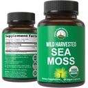 Bio Sea Moss Kapseln. Wild Harvested Sea Moss Raw Organic Vegan Ergänzung von Red Algae Seaweed. 100% Ganzer Extrakt Raw Irish SeaMoss Superfood Pills. für Gut, Respiratory, Immununterstützung.