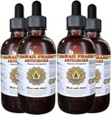 Artichoke Liquid Extract, Organic Artichoke (Cynara scolymus) Tincture 4x4 oz