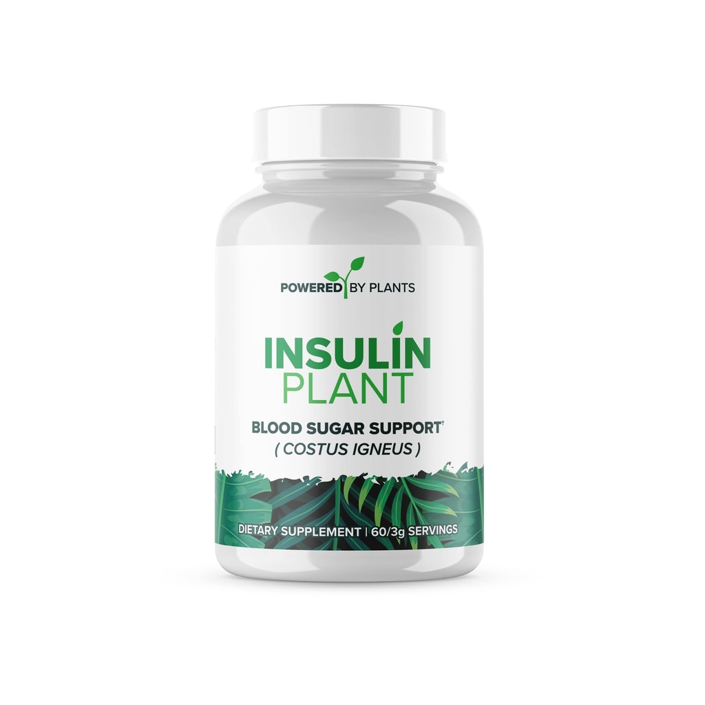Insulin Pflanzenkapseln - 3000mg Costus Igneus Blattpulver ohne Binder, Füllstoffe & Gluten - Vegan, Non GMO-Ergänzungen für Damen und Herren von Powered X Pflanzen, 240 Kapseln