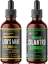 Herbify Bundle - Lions Mane Drops & Cilantro Tincture - Brain Boost & Body Detox