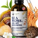 HAPPY FOX Irish Sea Moss Liquid Drops & Mushroom Tincture - Seamoss avec 7 extraits de champignons adaptogènes pour le soutien cognitif et la santé Gut, Mushroom Coffee Elixir, Pure Vanilla Flavor