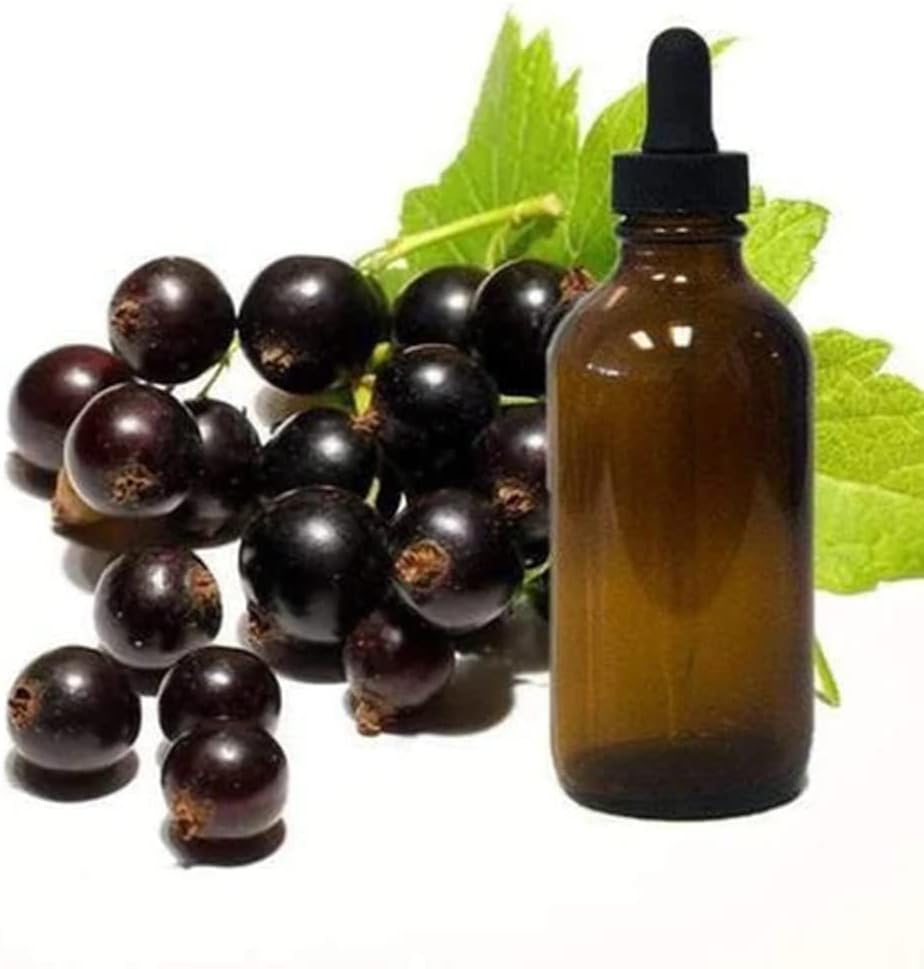 Black Currant Seed olio 1oz vetro Dropper bottiglia