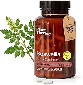 Plant Therapy Boswellia Capsules d'extrait fabriqués aux États-Unis 4 mois d'approvisionnement soutient la flexibilité articulaire, confort, apaisant le malaise et des suppléments de peau saine pour les femmes et les hommes 120 capsules végétariennes