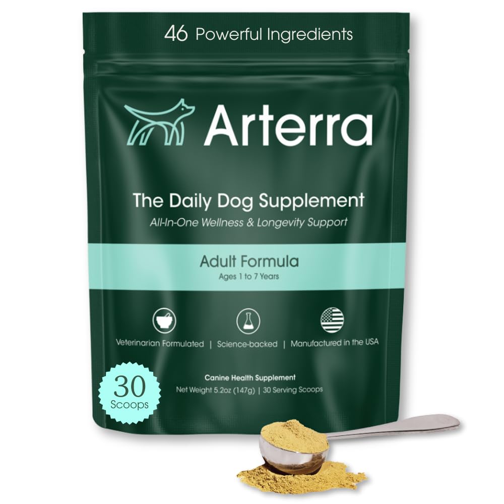 Adult Dog Powder Supplement & Food Topper – 46 Ingredienti per Gut, Immune & Brain Health – Multivitamina di longevità giornaliera per il benessere del corpo intero | 30 Scoops