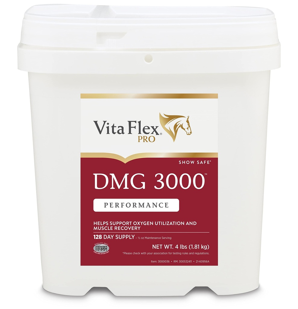 Vita Flex Pro DMG 3000 Cavallo DMG Concentrato, 4 Pounds, 128-Day Supply