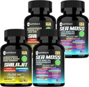 Sea Moss Black Seed Oil Ashwagandha Ginger Capsule,Supplemento con Turmeric e Ginger Supplemento Bladderwrack Burdock Root Organic,ACV Black Seed Oil - 240 Sea Moss Capsule