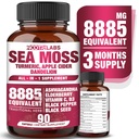 All-in-1 8885mg Moss più potente del mare, Seme nero, Ashwagandha, curcuma, Aceto di sidro di mele, Dandelion con Elderberry, Vitamina C & D3 - Immune, Integratore di supporto energetico - 90 capsule vegane