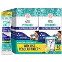 GuruNanda Hydramate Hydration Support Drink Mix - Elektrolyt-Pulver-Packets für Dehydratation, Übung & Energie - keine hinzugefügt Süßungsmittel, Non-GMO, natürliche Zitronen-Limous Flavor - 48 Zähler (0.56 oz Jeder)