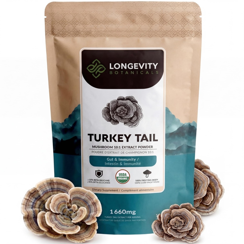 Bio Türkei Tail Pilz Pulver Ergänzung 100g | Pure Fruiting Body 10:1 High Strength Extract | 50% Beta-D Glucans | 16,600mg Raw Equivalent Per Serving | Immun, Gut & Microbiome Unterstützung