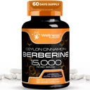 WELLNESS LABSRX Berberine Supplément 15 000mg - Berberine avec Ceylan Cinnamon, Capsules de soutien général au mieux-être - 120 Capsules (paquet de 1)