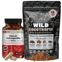 DailyNutra KSM 66 Ashwagandha (90 Capsules) et Mushroom Cacao Mix (16oz) Ensemble pour la relaxation et la concentration