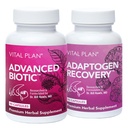 Vital Plan Immune Support Supplementi del Dr. Bill Rawls – Immune Boost Bundle w/Japanese Knotweed, Claw del gatto, Chinese Skullcap & Reishi Mushroom