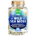 MAJU 4-in-1 Organic Sea Moss Capsule, Wild Chondrus Crispus, Seamoss w/Bladderwrack + Burdock Root, Stronger Than Gel, Irish, Sebi Inspired Raw Powder in Pills, 500 mg Capsule (60 ct)