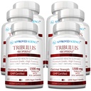 Approved Science Tribulus Terrestris - 360 capsule - Boosts testosterone, migliora le prestazioni atletiche, supporta la crescita del muscolo e la riparazione - 95% Furostanol Saponins - Bioperine - Vegan - 6 bottiglie