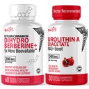 Nature's Fusions Nutri Dihydroberberine (60 Capsules) & Urolithine Un supplément de 500mg pour stimuler l'énergie