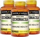 MASON NATURAL Echinacea, Sistema immunitario Booster, Supporta la salute generale, Integratore di erbe, 60 capsule (Pack of 3)