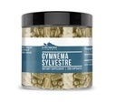 Elementi terrestri Gymnema Sylvestre 200 Capsule, Pure & Undiluted, Senza Additivi