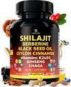Organic Himalayan Shilajit Kapseln mit schwarzem Samen Öl Berberine Cinnamon Ginseng Chaga & Taurine & Vitamin A, E, D3, K2 (120 Count) - All-in-1 Fulvic Acid Shilajit für Herren & Frauen