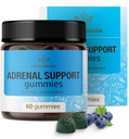 Gommies de soutien adrénal HERBAMAMA - Supplément complexe adrénal pur pour les femmes avec racine d'Ashwagandha, Rhodiola Rosea et Magnésium - Vegan, non-OGM - 60 brochettes à base de bleuets