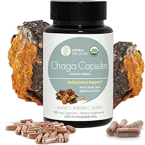 Trésor Herbal Chaga Champignons Capsules en poudre, Supplément de Champignons pour Champignons fonctionnels, Capsules de Champignons Chaga pour l'énergie et le soutien immunitaire, Supplément de Champignons Bio 90 Caps