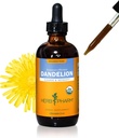 Kräuter Pharm Certified Organic Dandelion Liquid Extract für Reinigung und Entgiftung, Alkoholfreies Glycerit, 4 Unze