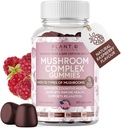 Gommies de Champignon Supplément Premium [10 Extrait Complexe de Champignon] Lion Délicieux et rapide Agissant Mane, Reishi, Shiitake Nootropic Cerveau Support, Immune Support, Mood & Relaxation, 60 Chews