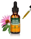 Herb Pharm Certified Organic Golden Echinacea Liquid Extract für Immunsystemunterstützung - 1 Unze (DGOLDEN01)