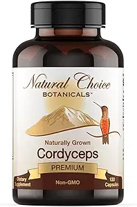 Bio Cordyceps Pilzergänzung - 120 Kapseln