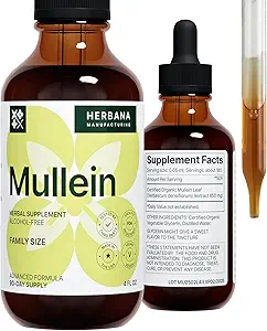 Mullein Leaf 4 fl oz Liquid Extract - Supplément naturel de nettoyage pulmonaire et de détox - Teinture de soutien respiratoire et immunitaire - Taille de la famille - Pertes de puissance élevées - Approvisionnement de 90 jours