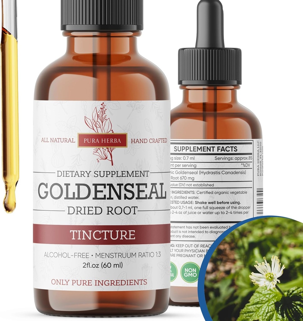 Goldenseal Tincture | Premium Alcohol-Free Estratto di erbe dalla radice dorata | Supplemento botanico liquido | Formula di erbe tradizionale made in USA - 2 oz (60 ml)