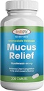 HealthLife® Mucus Relief Guaifenesin Caplets 400 mg, Sofortfreigabe (300 Count) Schnell wirkender Expectorant, Thin und Loosens Mucus, glaubt Chest Congestion, Cough, Cold and Flu