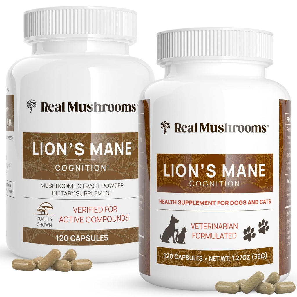 Real Mushrooms Lions Mane for Humans (120ct) e Animali (120ct) - Bundle for Cognition & Immunity - Vegan, Non OGM, Gluten-Free, Grain-Free Mushroom Extract Supplements