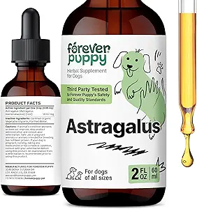 Forever Puppy Astragalus Gocce di radice per cani - Astragalus Membranaceus Tintura per la difesa immunitaria dei cani - Integratori di liquidi per animali domestici di erbe per l'assistenza immunità e la cura di animali gioiosi - 2 oz