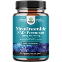 Vitamin B3 Niacinamid 500mg Kapseln - Mitochondriale Energie und potente Hautergänzung - AKA Vitamin B3 Niacin 500mg Flush Free und Nicotinamid 500mg - Flush Free Niacin Supplement - 240 Count