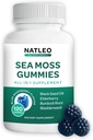 NATLEO USA Sea Moss Gummi mit Elderberry, Black Seed Oil & Burdock Root - Vegan, Glutenfrei, Non-GMO, 1750mg - Unterstützt Daily Wellness - Made in USA (120 Count)