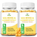 Gummies de mousse de mer pour les adultes et les enfants, 2000mg Seamoss cru, Bladderwrack, root de Burdock, Elderberry, poivre, vitamine C et D3, Zinc soutient le système immunitaire et Boost Energy (2-Pack)