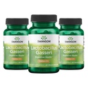 Swanson Lactobacillus Gasseri Probiotico per adulti Alla ricerca di supporto digestivo e metabolico con 3 miliardi di CFU - Acid-Resistant, No Refrigeration (60 capsule vegane, 3 Pack)
