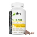 Jiva Botanicals Shilajit Capsules 700 mg – Shilajit Extract mit Fulvic Acid – Shilajit Supplement für Herren & Frauen – 90 Vegan Capsules for Daily Wellness - 90 Count (Pack of 1)