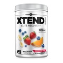 Xtend originale BCAA Polvere 7g BCAA e 2.5g L-Glutamina, Sugar Free Post Workout Muscle Recovery Drink con aminoacidi per uomini e donne, 30 Serve