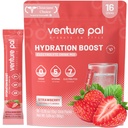 Venture Pal Powder Packets sans électrolyte de sucre - Liquid Daily IV Drink Mix pour l'hydratation rapide et la récupération des parties